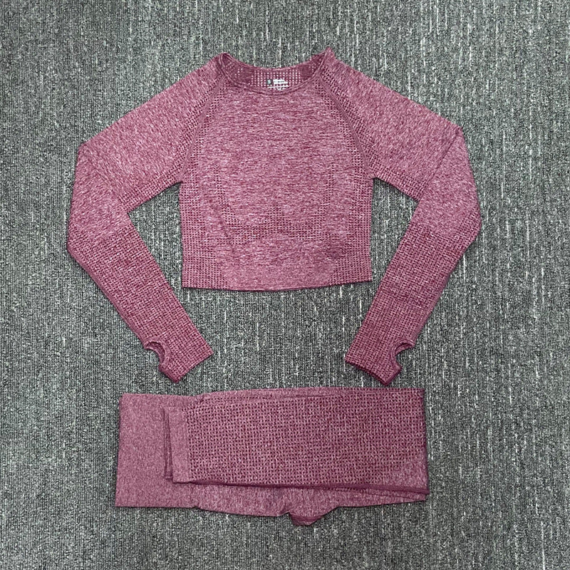 Women's Quick-Drying Nylon Moisture-Wicking Fitness Suit – Long Sleeve Activewear Set