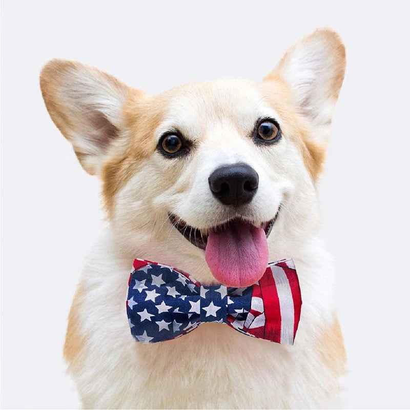 DOGGY HAUTE COUTURE GIFT CARD