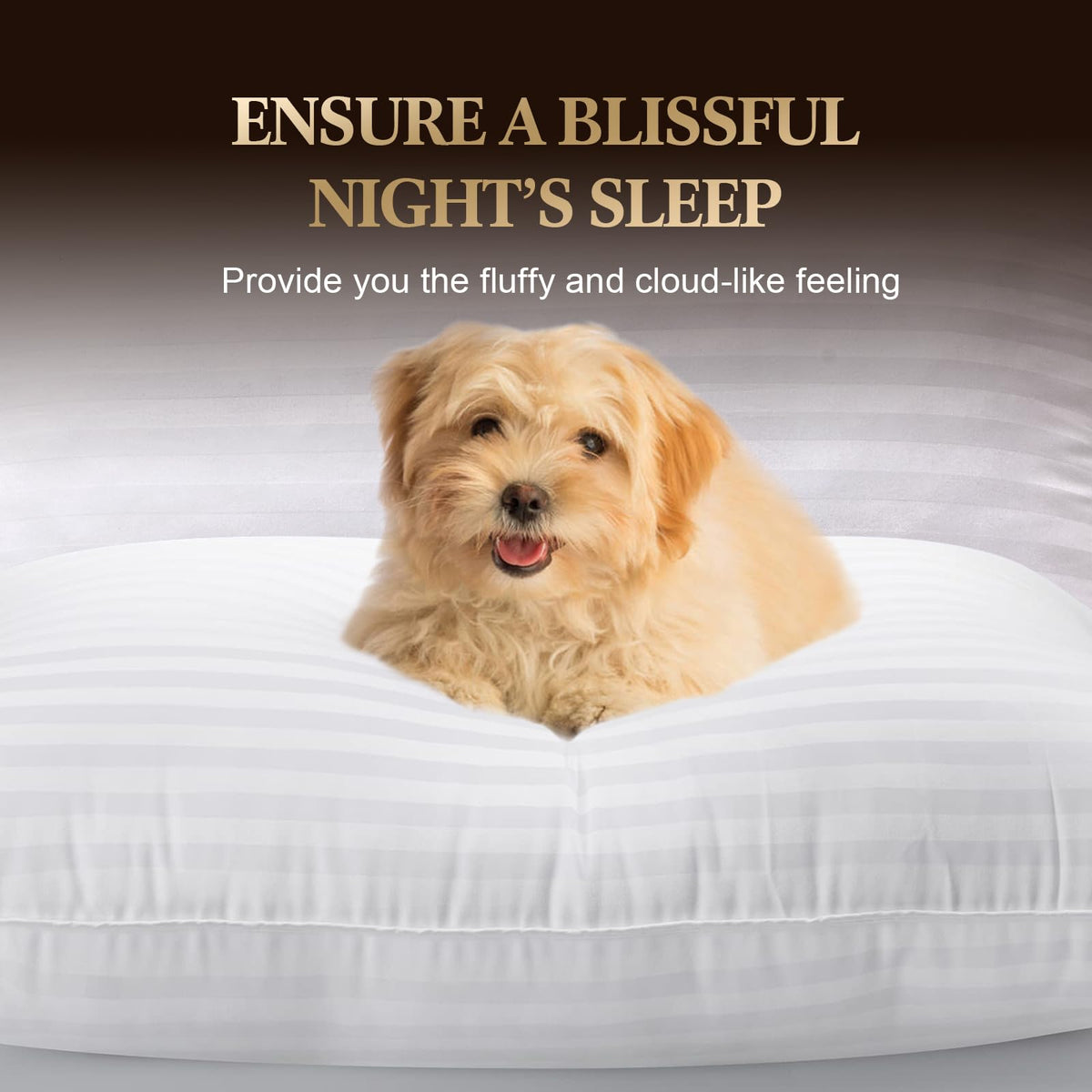 SHERWOOD Pillows Standard Size 2 Pack Hotel Pillow with Cotton Cover and Down Alternative Fiber Fill Bed Pillow for Sleeping (White, Standard 20x26 inch) 🍁 All In One Marketplace Canada