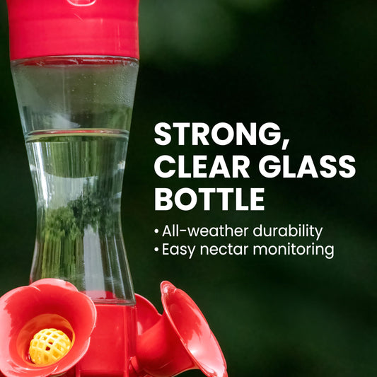 Perky-Pet Glass Hummingbird Feeders for Outdoors with Ant Moat, Bee Guards, & Perches, 8oz Nectar Capacity, Wide-Mouth Bottle for Easy Filling & Cleaning, Outdoor Garden Décor, 203CPBN-2 (Pack of 2) 🍁 All In One Marketplace Canada