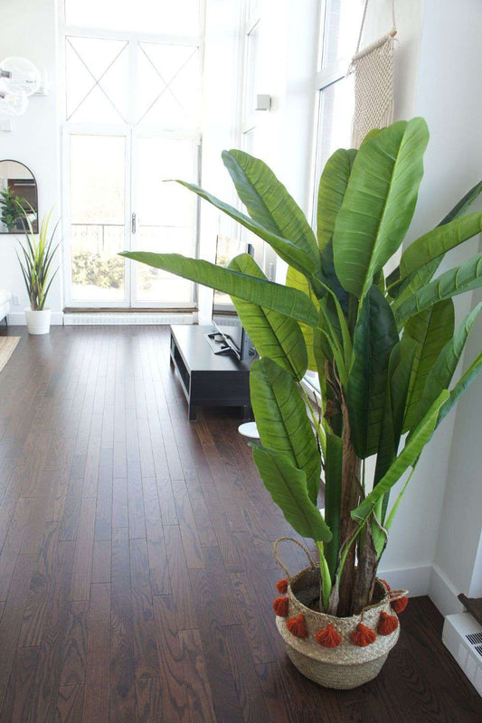 Anna Artificial Banana Tree Potted Plant (Multiple Sizes)