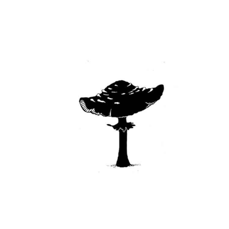 Lavinia Stamp - Toadstool Miniature
