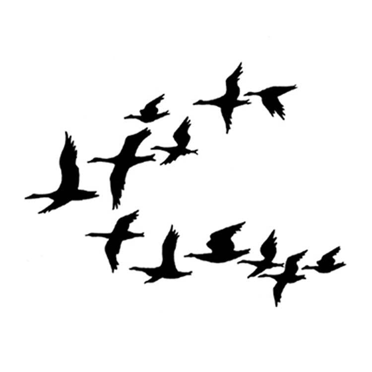 Lavinia Stamp - Ducks