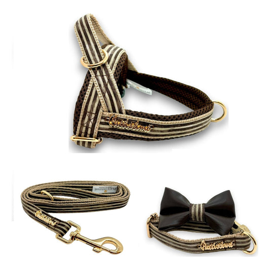 Tierra leash with hands-free extension