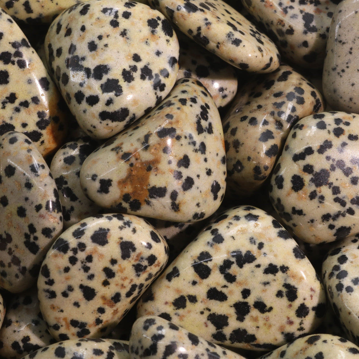 Dalmatian Jasper Tumbled Stones