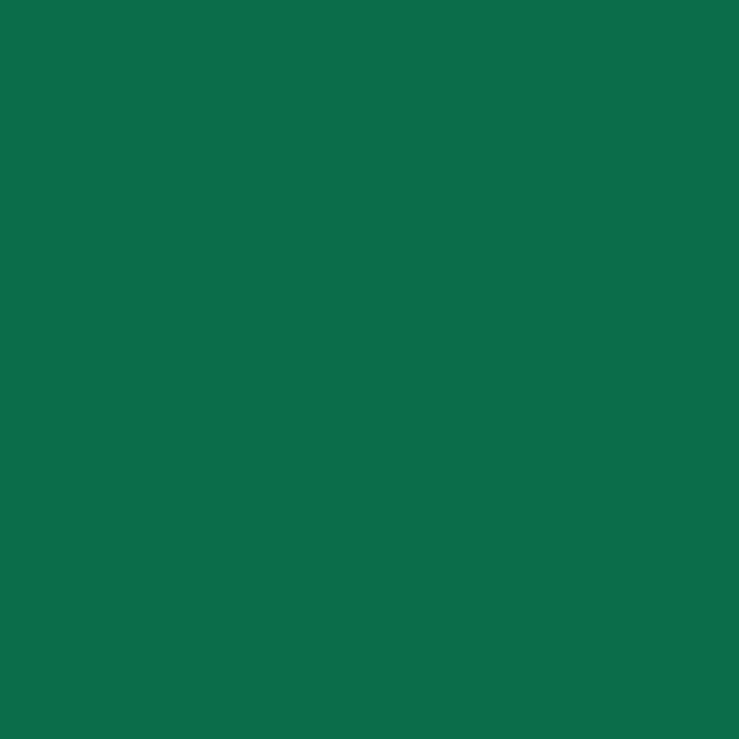 Siser Matte Green Easyweed 12"sheets and rolls