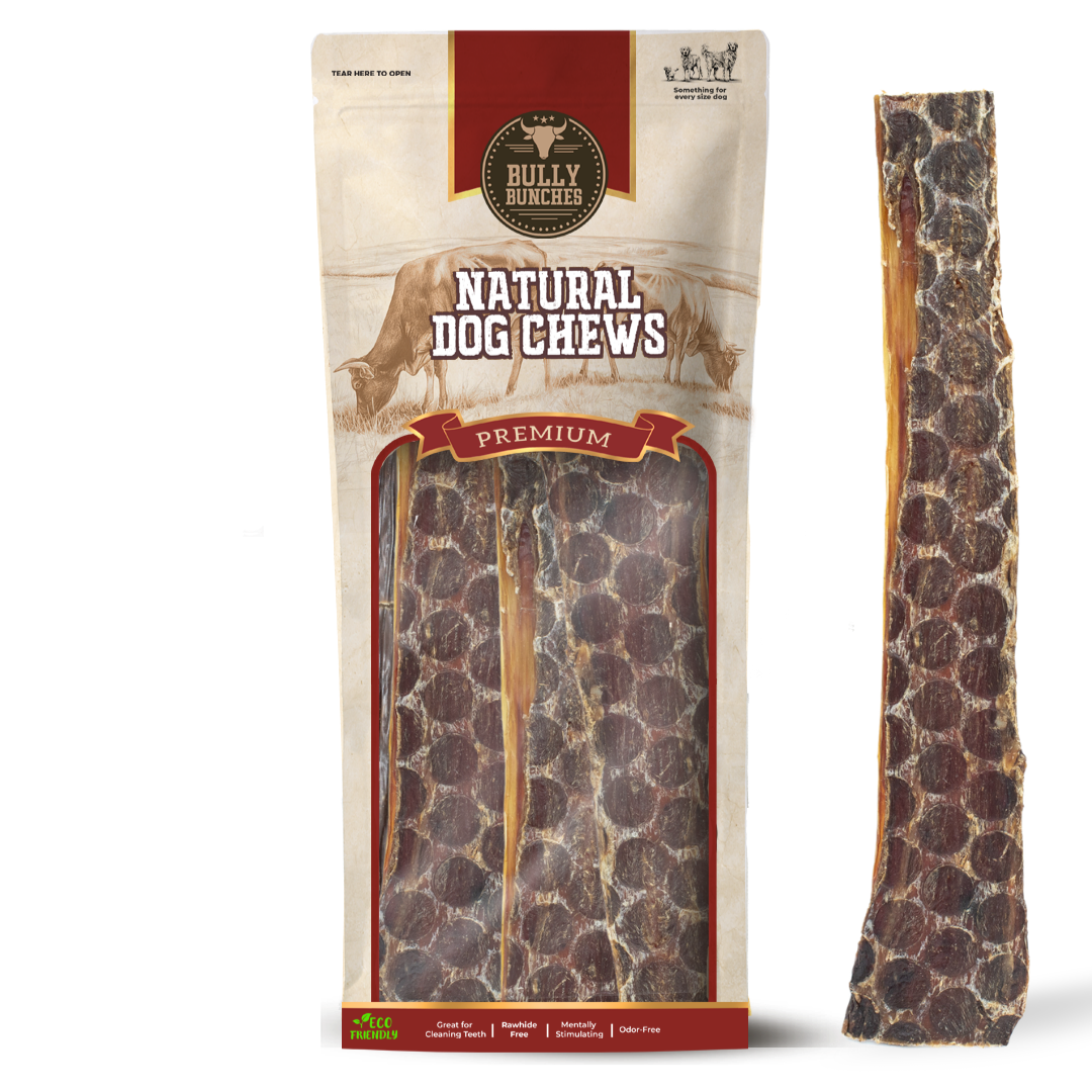 12 Inch Beef Jerky Strip