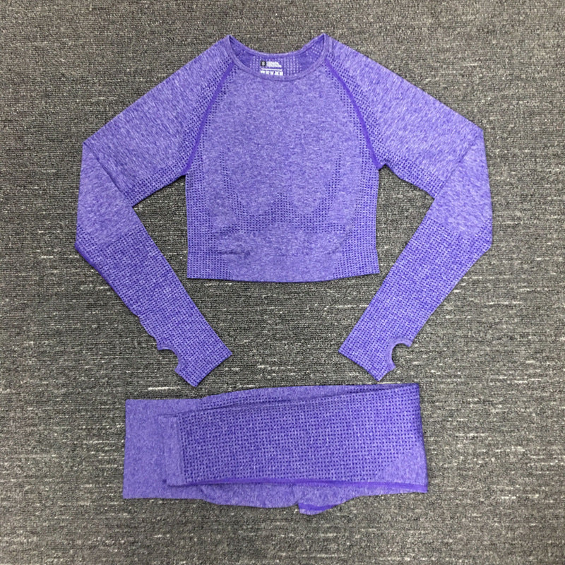 Women's Quick-Drying Nylon Moisture-Wicking Fitness Suit – Long Sleeve Activewear Set