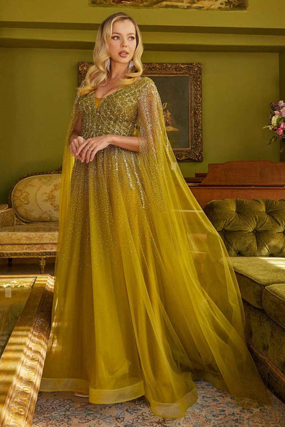 princess long sleeve dress