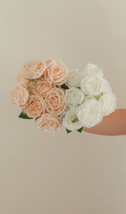 Neues Rosen-Bundle