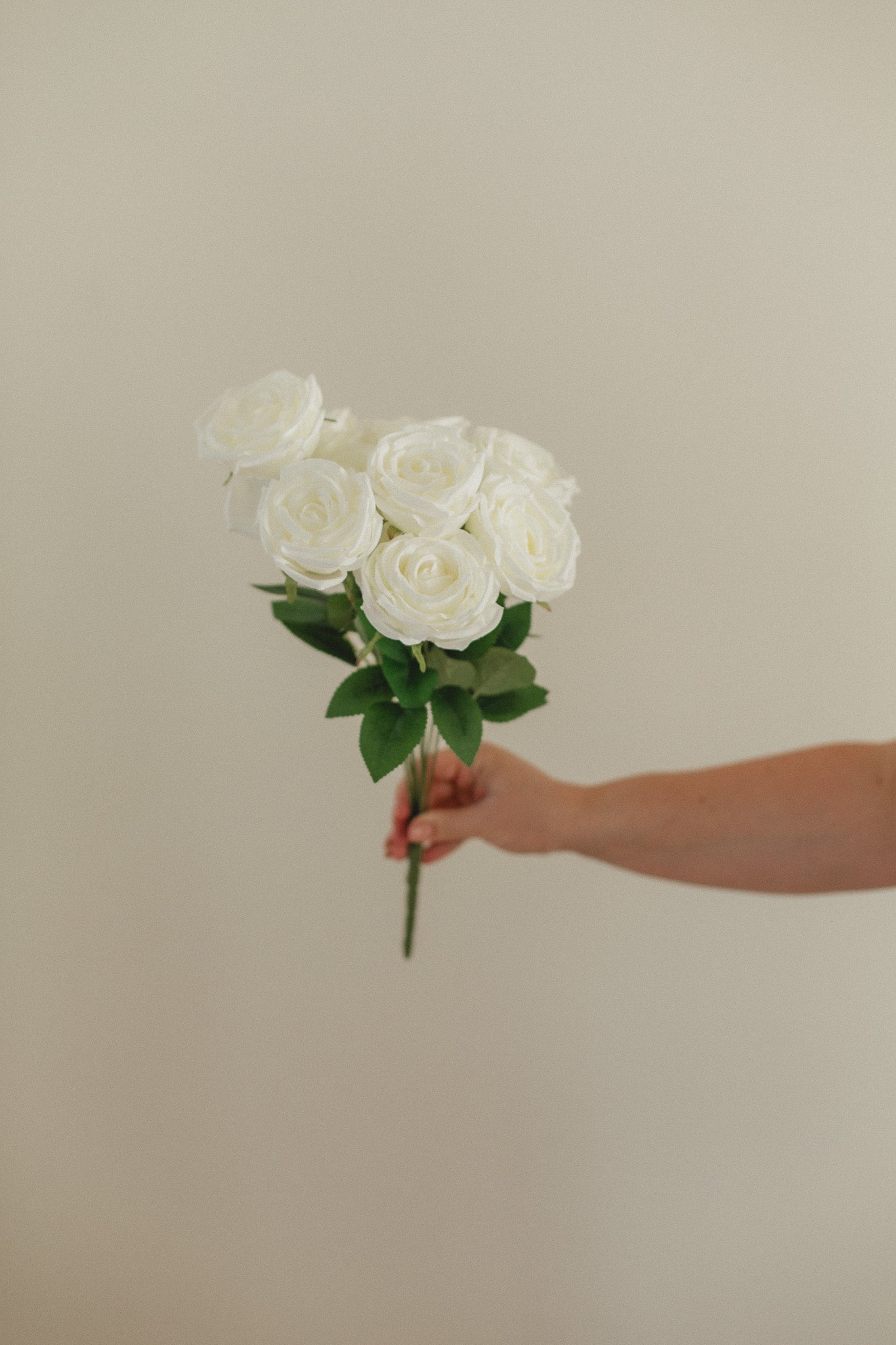 Neues Rosen-Bundle