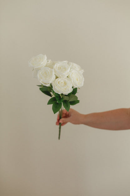 Neues Rosen-Bundle