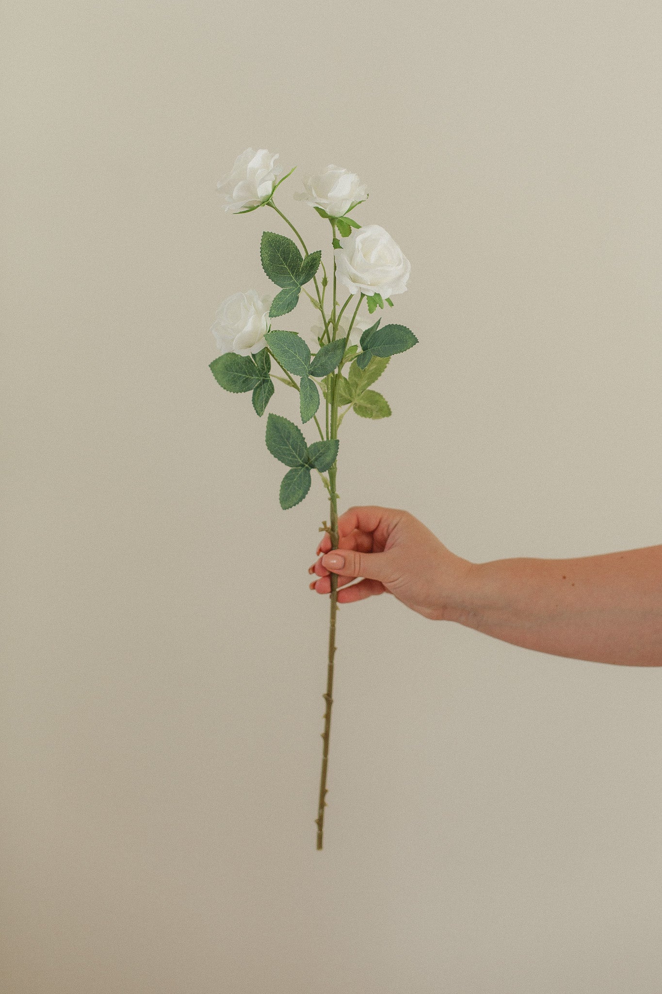 Small Rose Stem