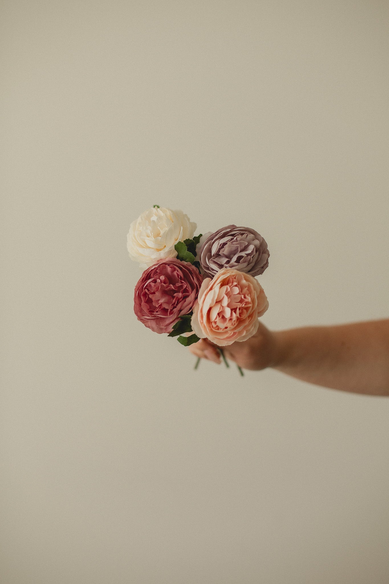 Englische Rose