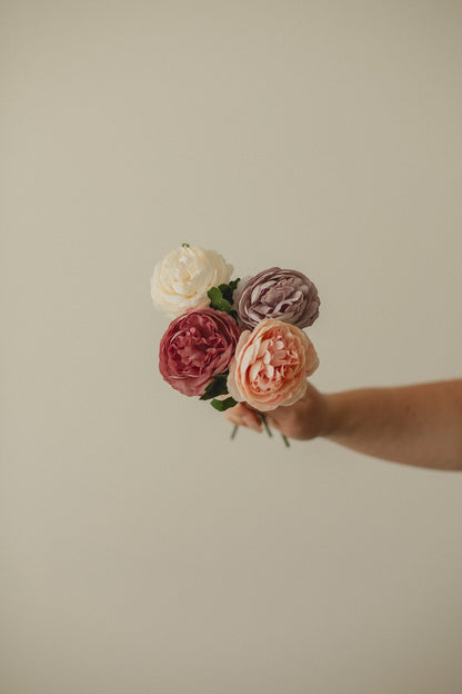 Englische Rose