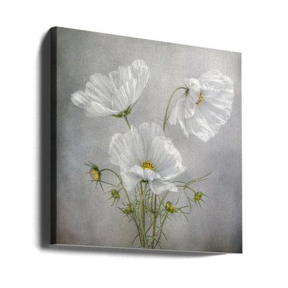 Wandkunst Kosmos Charme Irisse