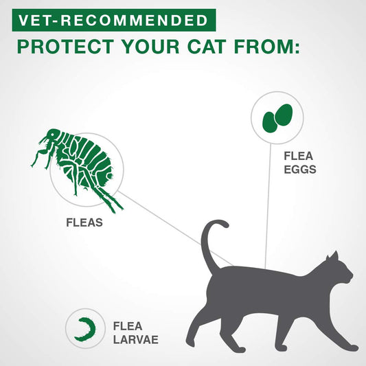 Advantage II Flea Protection for Large Cats weighing over 4 kg (over 9 lbs.) - 6 doses 🍁 All In One Marketplace Canada