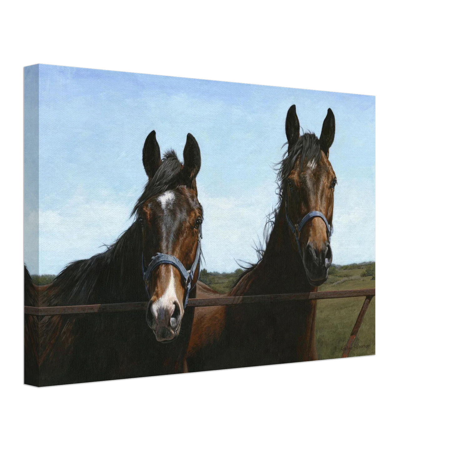 Das Visit Canvas