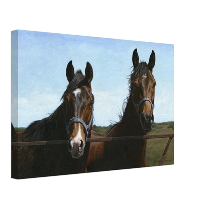 Das Visit Canvas