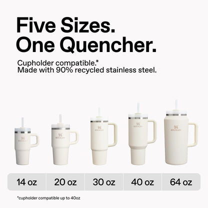 Stanley Quencher H2.0 Tumbler with Handle and Straw 30 oz | Flowstate 3-Position Lid | Cup Holder Compatible for Travel | Insulated Stainless Steel Cup | BPA-Free | Lilac 🍁 All In One Marketplace Canada