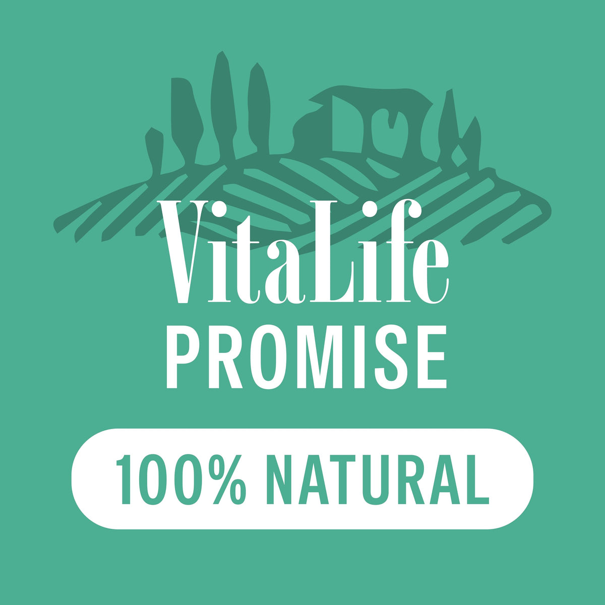 VitaLife 750 g Duck Tenders, All Natural Dog Treats 🍁 All In One Marketplace Canada