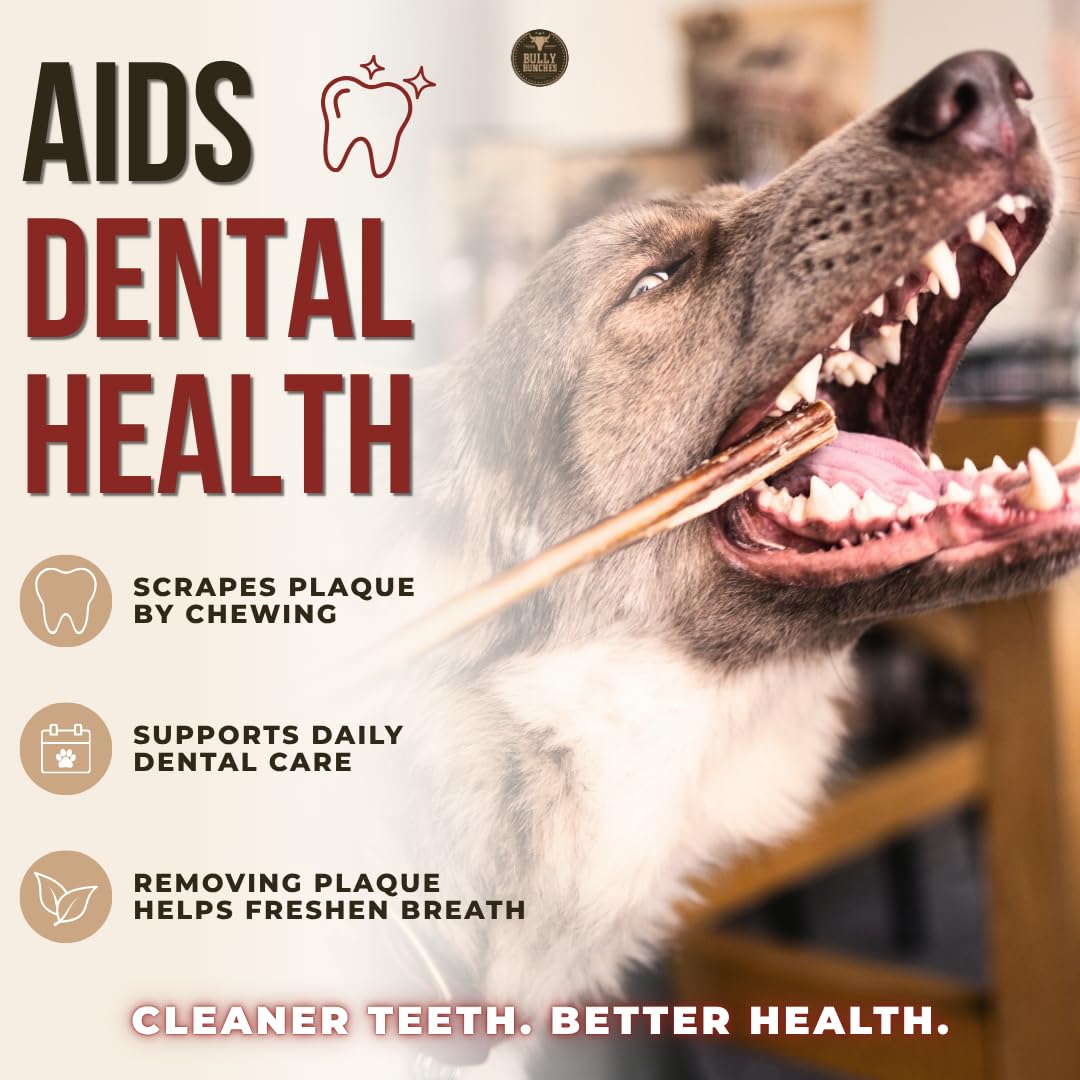 Bully Bunches Premium (6" Standard - 5 Pack) Odour-Free, Consistently Sized Bully Sticks for Small & Medium Dogs & Puppies, Long-Lasting Oral Care Chews, All-Natural Single-Ingredient Beef, No Rawhide 🍁 All In One Marketplace Canada