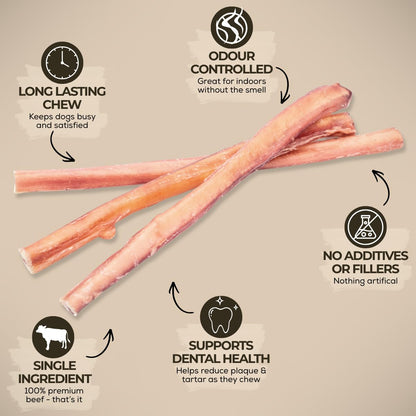 Bully Bunches Premium (12" Standard - 5 Pack) Odour-Free, Consistently Sized Bully Sticks for Medium Dogs - Long Lasting Oral Care Chews - All Natural Single Ingredient, Beef Dog Treat, No Rawhide 🍁 All In One Marketplace Canada