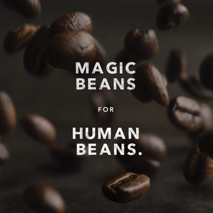 Kicking Horse Coffee, Kick Ass, Dark Roast, Whole Bean, 1 lb - Certified Organic, Fairtrade, Kosher Coffee 🍁 All In One Marketplace Canada