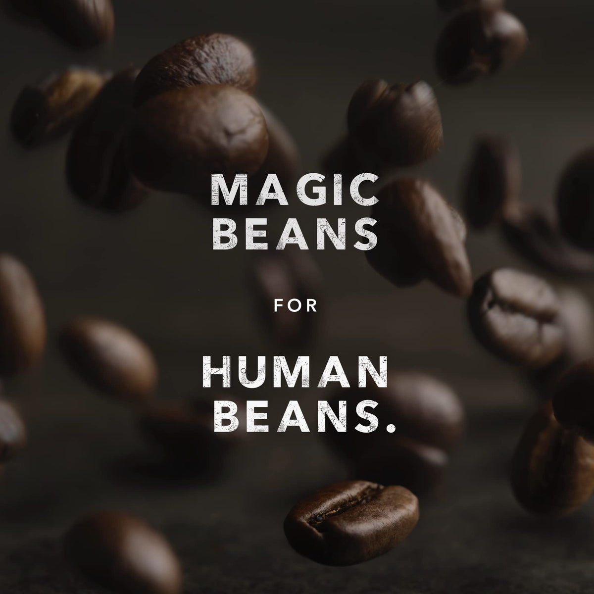 Kicking Horse Coffee - Decaf, Swiss Water Process, Whole Bean 100% Arabica Coffee | Dark Roast | All Organic & Fairtrade | 850 g 🍁 All In One Marketplace Canada
