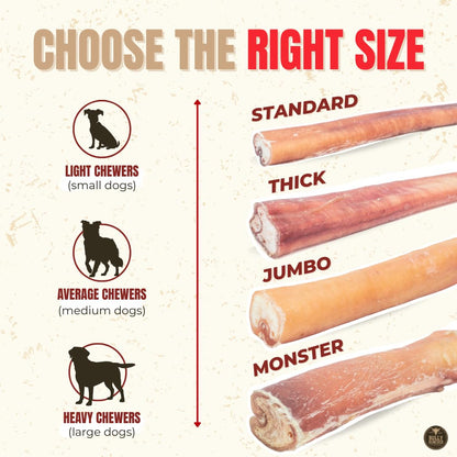 Bully Bunches Premium (6" Standard - 20 Pack) Odour-Free, Consistently Sized Bully Sticks for Medium Dogs - Long Lasting Oral Care Chews - All Natural Fully Digestible Beef Treat, No Rawhide 🍁 All In One Marketplace Canada