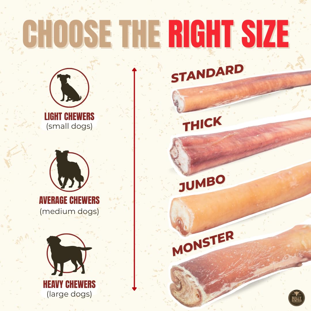 Bully Bunches Premium (6" Standard - 10 Pack) Odour-Free Bully Sticks - Small Dogs & Puppies - Consistently Sized, Long Lasting Chew Bones - All Natural & Single Ingredient, Beef Dog Treat, No Rawhide 🍁 All In One Marketplace Canada
