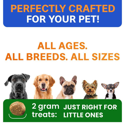 Probiotics for Dogs - Gas, Diarrhea, Allergy, Constipation, Upset Stomach Relief, w/Digestive Enzymes + Prebiotics - Chewable Supplement - Improve Digestion, Immunity - Dog Probiotics Chews - 120Ct 🍁 All In One Marketplace Canada