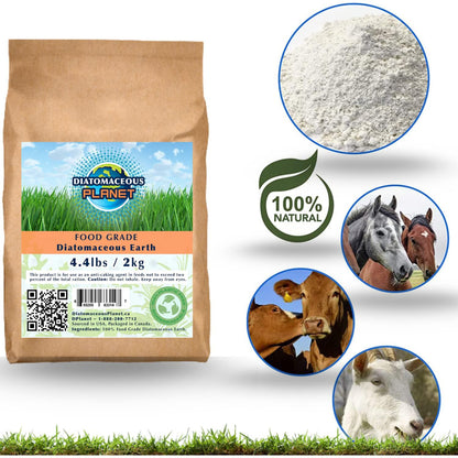 Diatomaceous Planet a Proudly Canadian Company, 2 KG / 4.4 LB All Natural, Organic Food Grade Powder, Enriched Fossil Powder by Diatomaceous Planet 🍁 All In One Marketplace Canada