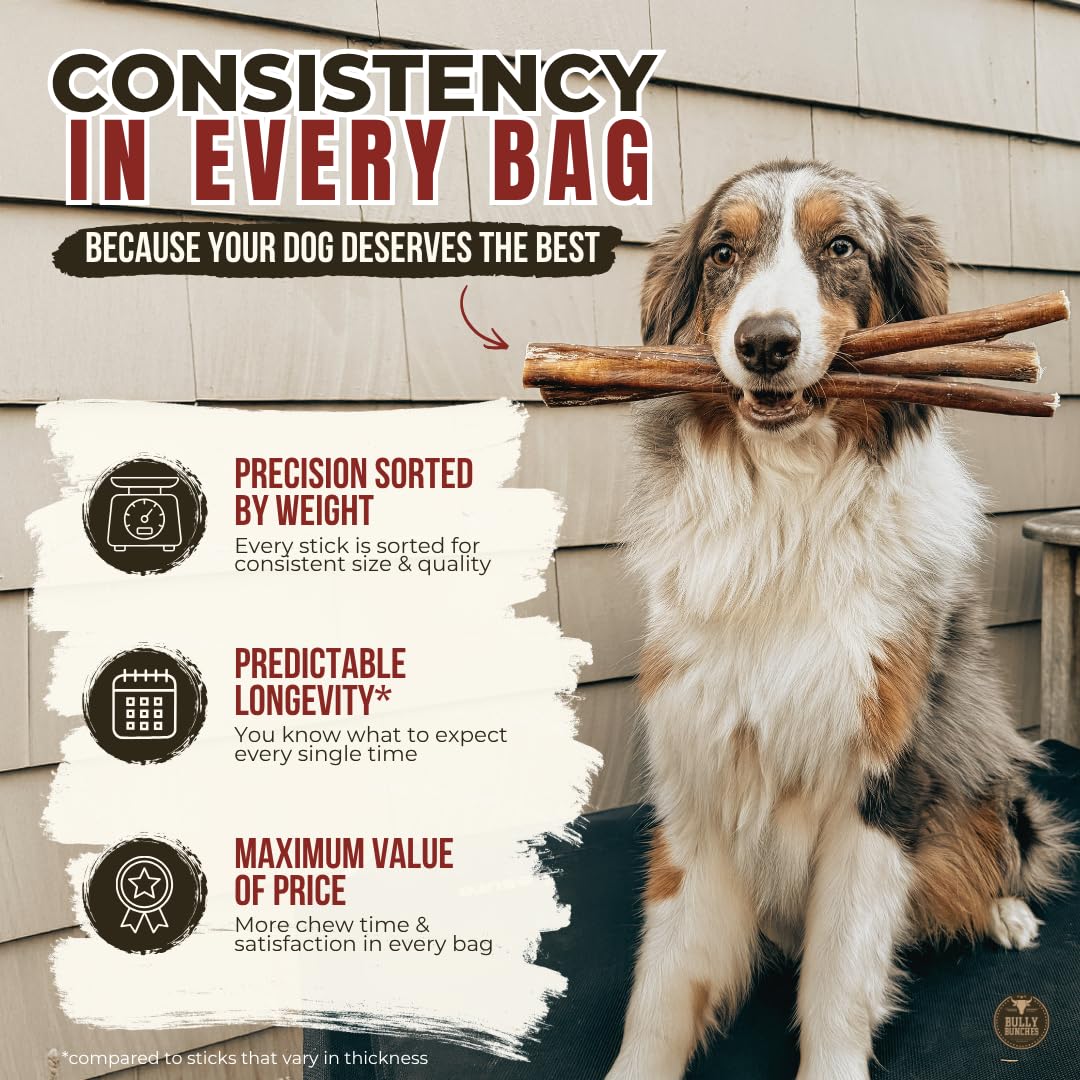 Bully Bunches Premium (6" Standard - 20 Pack) Odour-Free, Consistently Sized Bully Sticks for Medium Dogs - Long Lasting Oral Care Chews - All Natural Fully Digestible Beef Treat, No Rawhide 🍁 All In One Marketplace Canada