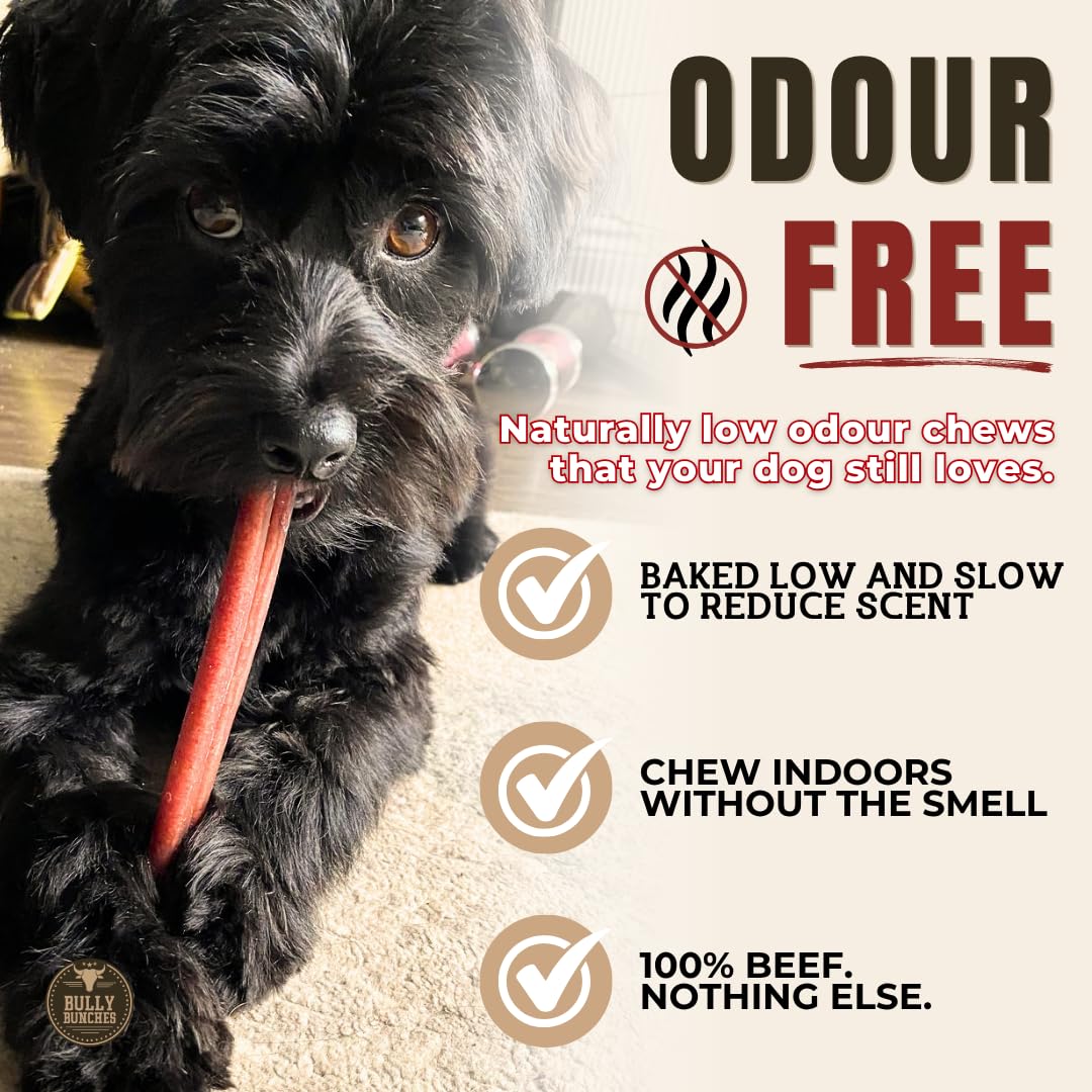 Bully Bunches Premium (6" Standard - 20 Pack) Odour-Free, Consistently Sized Bully Sticks for Medium Dogs - Long Lasting Oral Care Chews - All Natural Fully Digestible Beef Treat, No Rawhide 🍁 All In One Marketplace Canada
