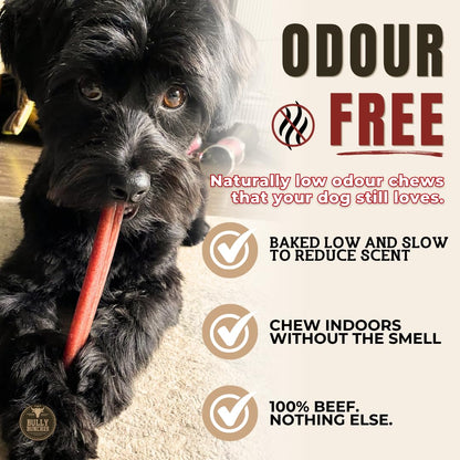 Bully Bunches Premium (6" Standard - 10 Pack) Odour-Free Bully Sticks - Small Dogs & Puppies - Consistently Sized, Long Lasting Chew Bones - All Natural & Single Ingredient, Beef Dog Treat, No Rawhide 🍁 All In One Marketplace Canada