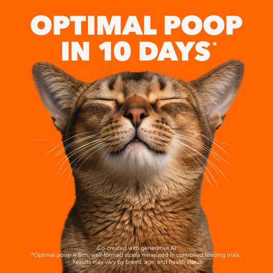 IAMS Proactive Health Indoor Weight & Hairball Care Adult Dry Cat Food – Chicken & Turkey – 3.18KG (7LB) Bag 🍁 All In One Marketplace Canada