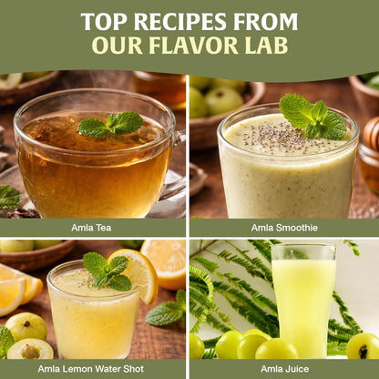 HANDPICK, Amla Powder (397gm/14oz) Halal Amalaki, Non-GMO | 100% Raw and Natural - Lab Tested for Purity | Indian Gooseberry Powder | Resealable Zip Lock Pouch 🍁 All In One Marketplace Canada