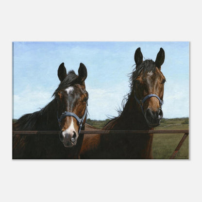 Das Visit Canvas
