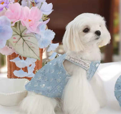 Cindirella Dress & Hat Set – Luxury Fantasy Dog Outfit