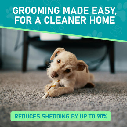Maxpower Planet Pet Grooming Brush - Double Sided Shedding, Dematting - Undercoat Rake Dogs - Dog Grooming Brush - Deshedding Brush for Dogs - Dog Brush, Cat Brush, Reduce Shedding by 95%, Turquoise 🍁 All In One Marketplace Canada
