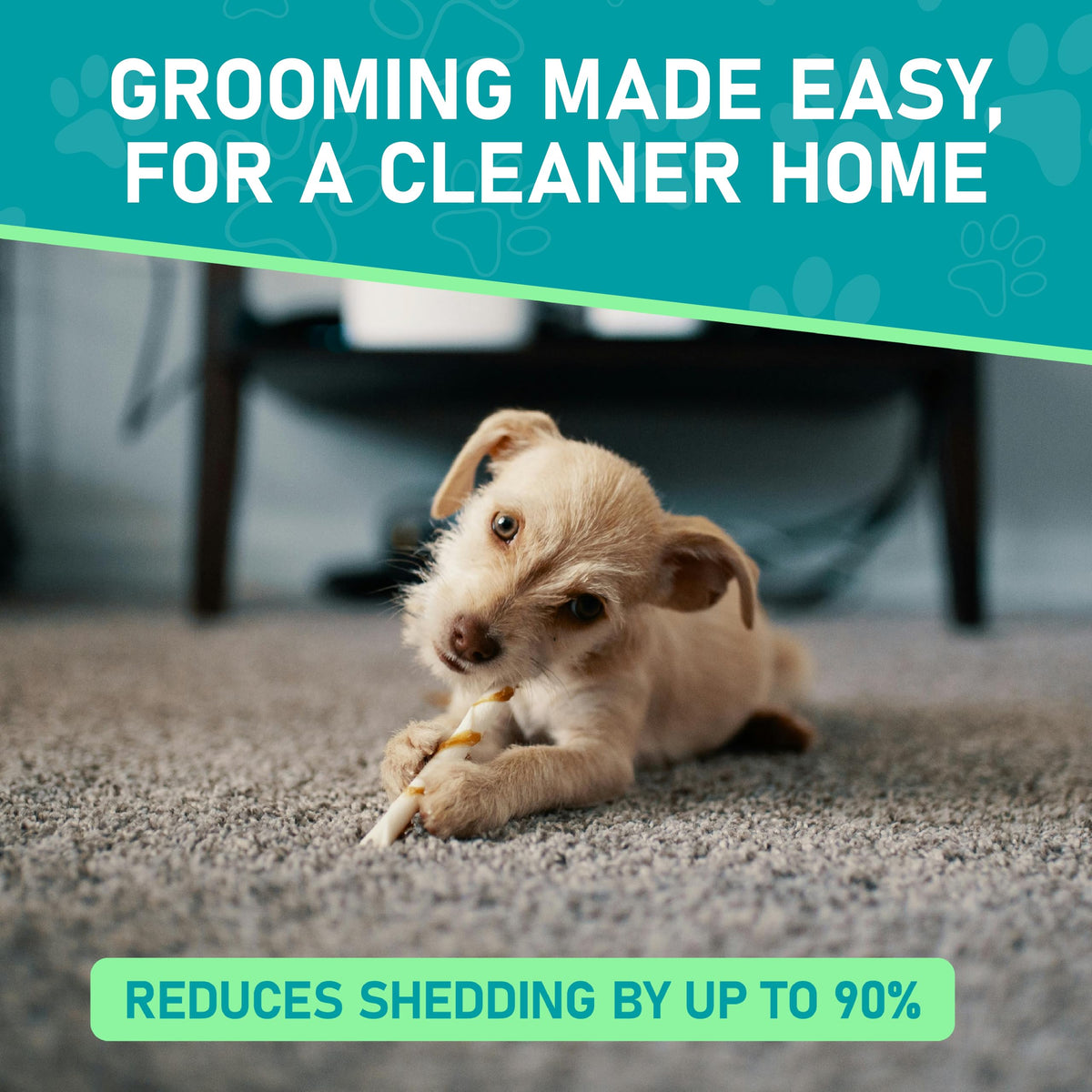 Maxpower Planet Pet Grooming Brush - Double Sided Shedding, Dematting - Undercoat Rake for Dogs - Dog Grooming Brush - Deshedding Brush for Dogs - Dog Brush, Cat Brush, Reduce Shedding by 95%, Purple 🍁 All In One Marketplace Canada