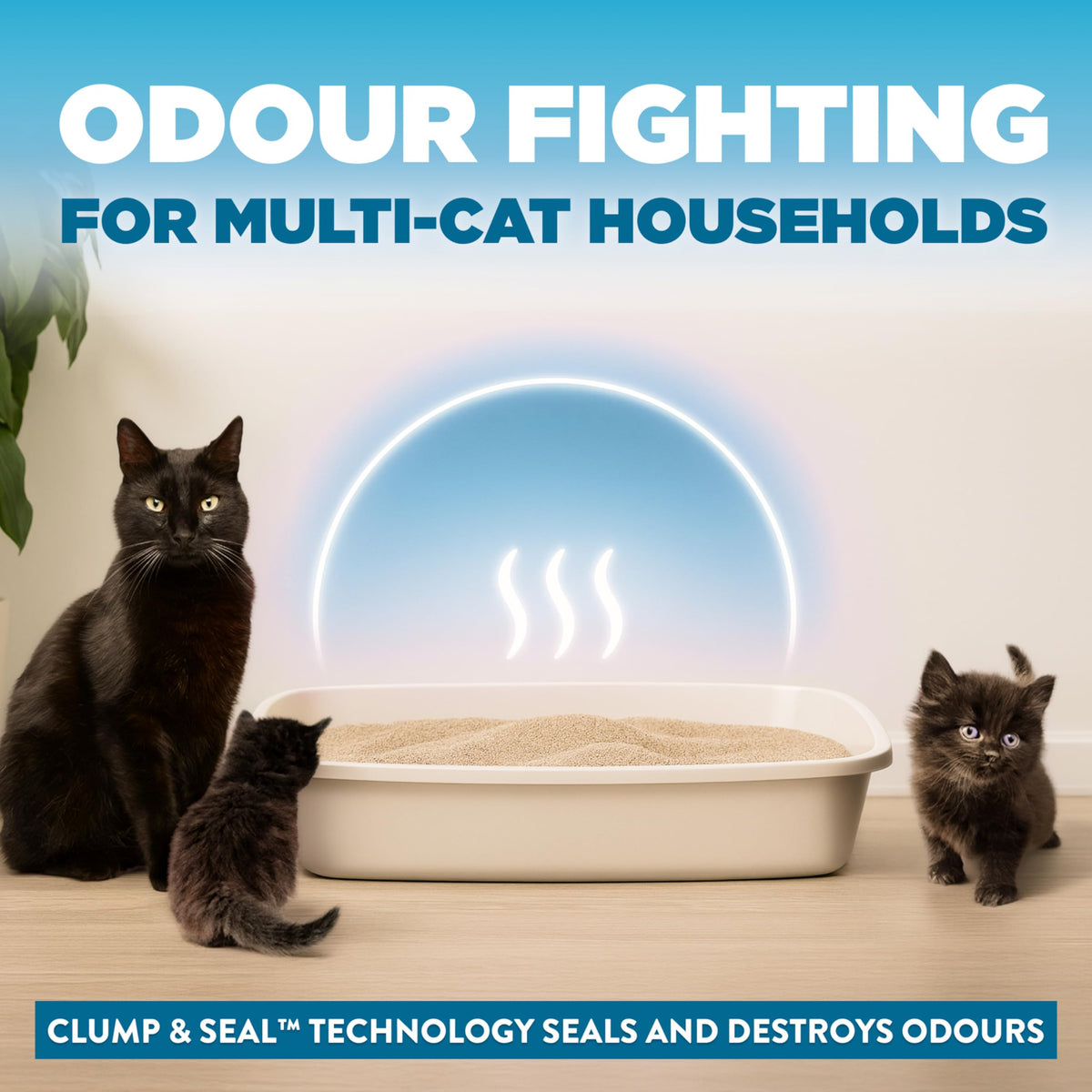 ARM & Hammer Cloud Control Clumping Cat Litter, Multi Cat, 6.35kg – 7 Day Odour Control, 99.9% Dust Free, Hypoallergenic Light Scent 🍁 All In One Marketplace Canada