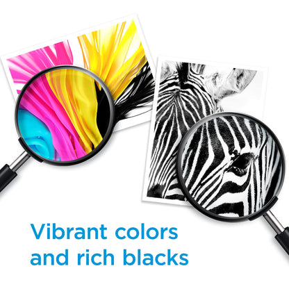 Original HP 67 Black Ink Cartridge | Works with HP DeskJet 1255, 2700, 4100 Series, HP Envy 6000, 6400 Series | Eligible for Instant Ink | 3YM56AN 🍁 All In One Marketplace Canada