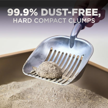 Arm & Hammer Platinum Clumping Cat Litter, 2x Longer Odour Control, Multi-Cat Clay, Ultimate 14-Day Freshness, Extra Oduor Eliminators, Effortless Clean, Dust-Free, Heavy-Duty Clumping, 8.16kg 🍁 All In One Marketplace Canada