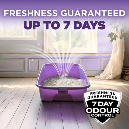 Arm & Hammer Slide Clumping Cat Litter, Multi-Cat Clay, Effortless Clean, 7-Day Odour Control, Dust-Free, Low-Tracking, Rock-Hard Clumps, Baking Soda Power, 12.7 kg 🍁 All In One Marketplace Canada