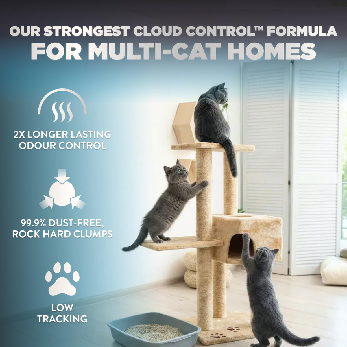 ARM & HAMMER Platinum Cat Litter, Cloud Control, Extra Strength with 14 Days of Odour Control, Multi-Cat Clumping Cat Litter with Hypoallergenic Light Scent, 12.47kg (Pack of 1) 🍁 All In One Marketplace Canada