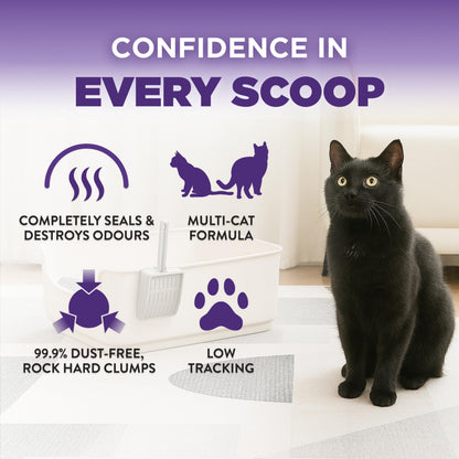 Arm & Hammer Slide Clumping Cat Litter, Multi-Cat Clay, Effortless Clean, 7-Day Odour Control, Dust-Free, Low-Tracking, Rock-Hard Clumps, Baking Soda Power, 6.4 kg 🍁 All In One Marketplace Canada