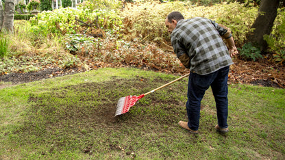 Scotts Turf Builder Quick & Thick Grass Seed, 1.2kg (173 sq Meters / 1,863 sq feet Coverage) | Grow a Thick, Green Lawn Fast. for Areas that Experience Sun & Shade 🍁 All In One Marketplace Canada