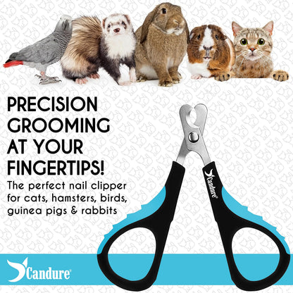 Candure Cat Nail Clippers for Indoor Cats, Rabbits, Hamsters, and Birds with Precise Angled Edges to Ensure Easy & Safe Trimming Stainless Steel Cat & Dog Nail Trimmer for At-Home Cat Grooming 🍁 All In One Marketplace Canada